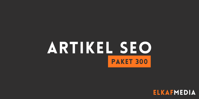 Jasa artikel seo paket 300